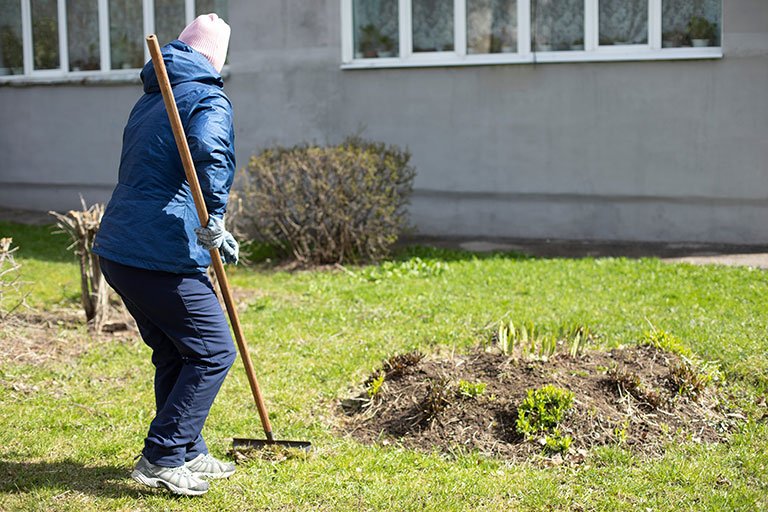 60+ Mutterboden Für Rasen, Um optimale bedingungen für das anlegen